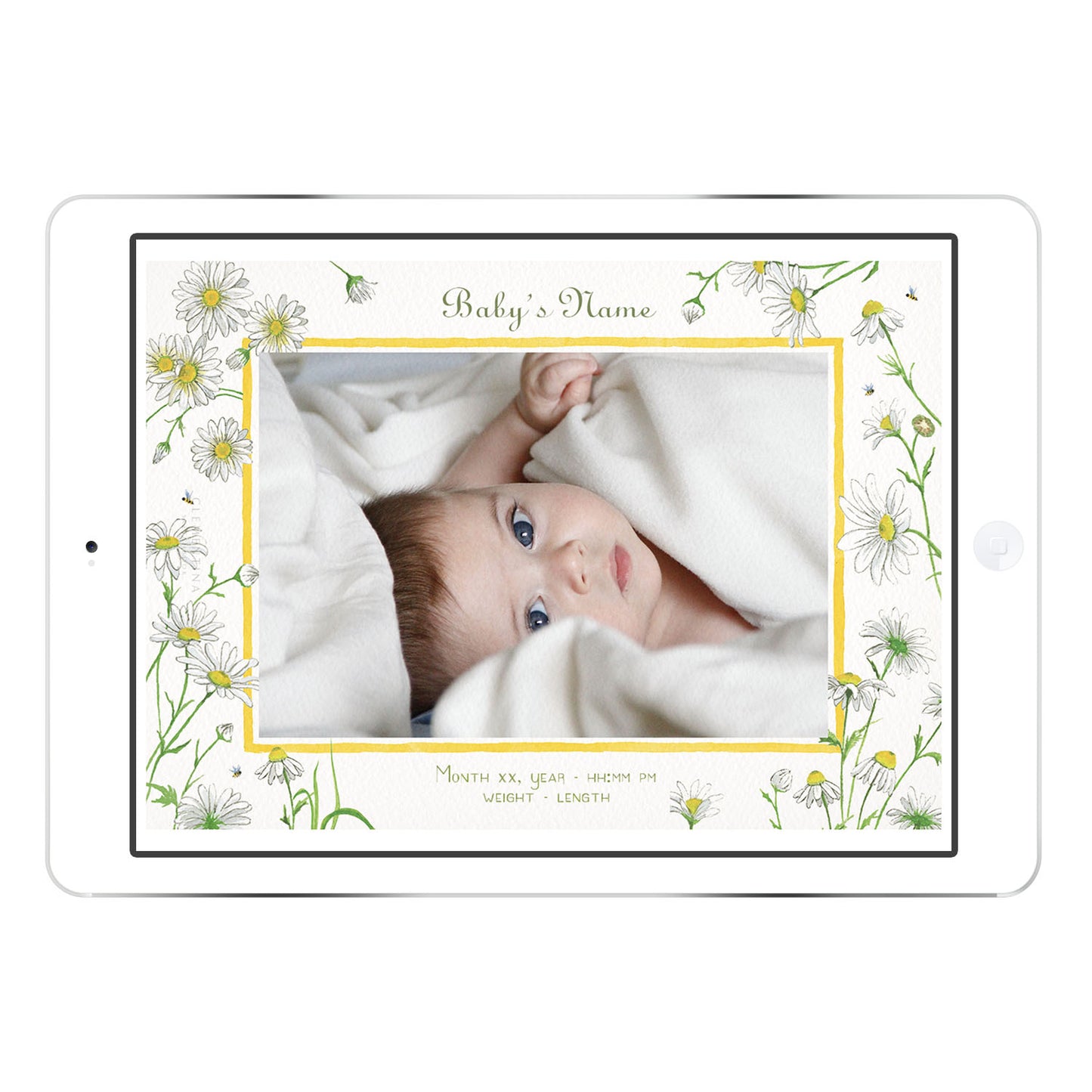Daisies digital birth announcement from Clementina Sketchbook with baby photo on an iPad screen, featuring hand-painted watercolour daisies and greenery with a soft yellow frame and personalised newborn details.