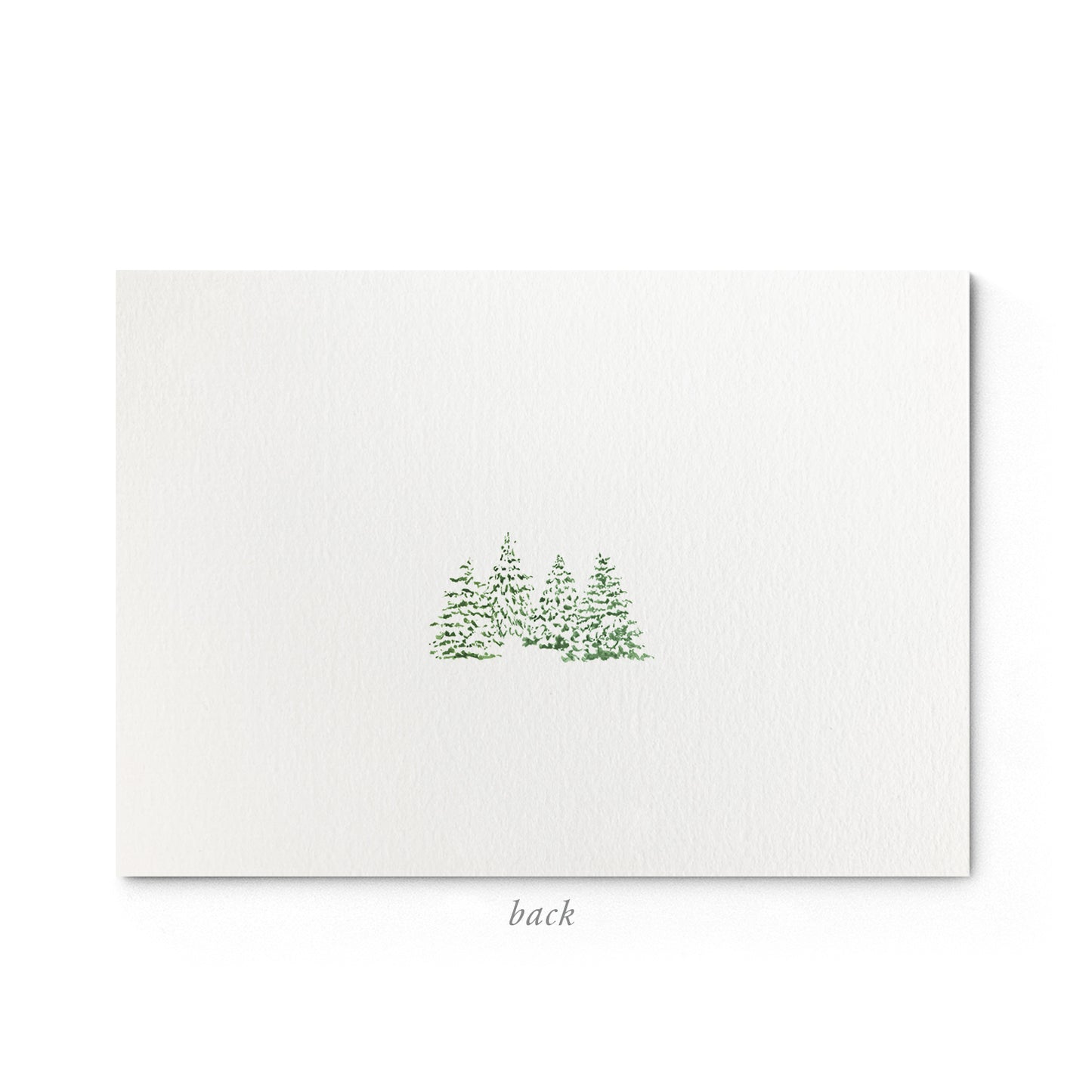 Image shows the back of a Clementina Sketchbook Christmas stationery card, with a green pine watercolour design and a green border.