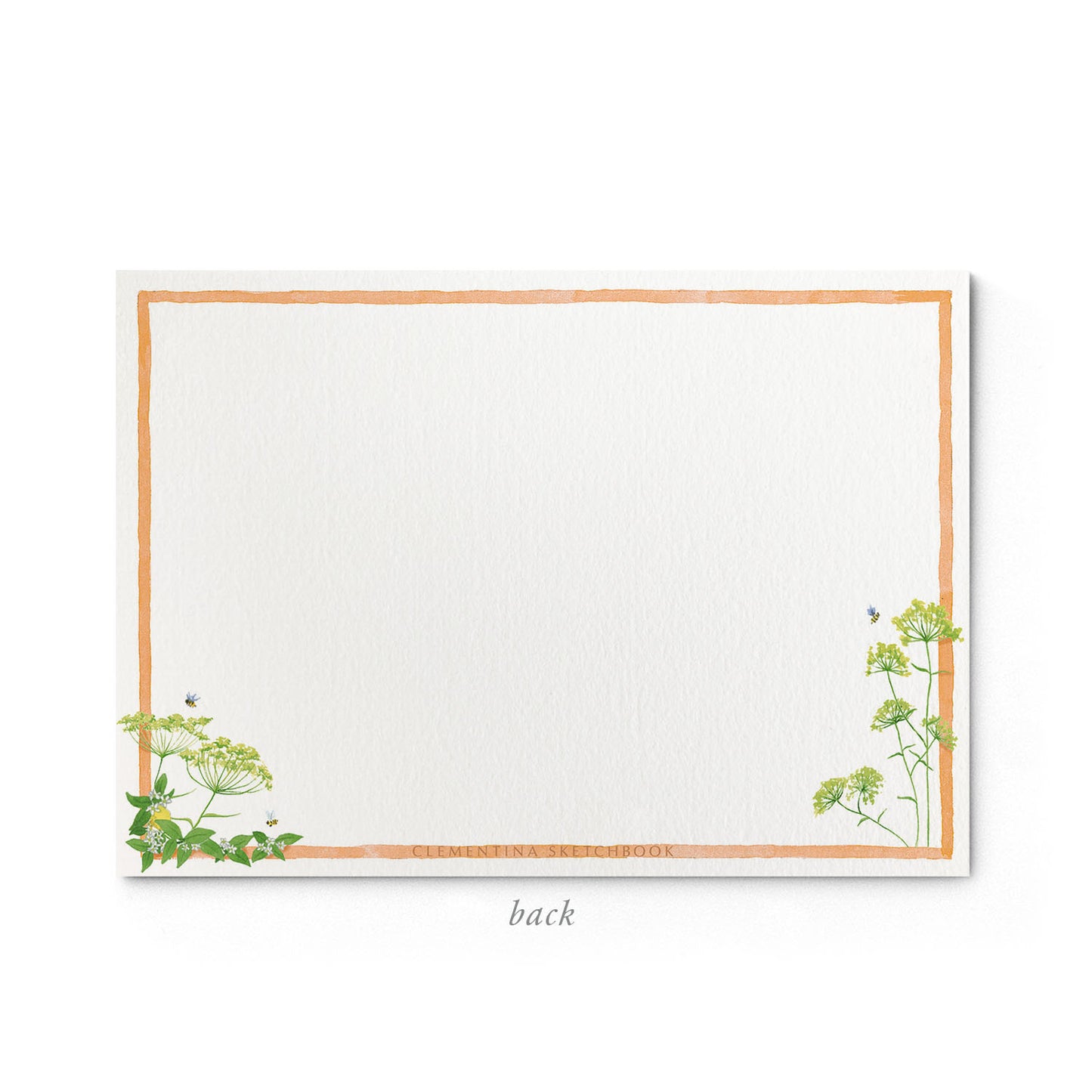 Image shows the back of a Clementina Sketchbook tuttifrutti stationery card, with a hand-painted flauna watercolour design and a orange border.