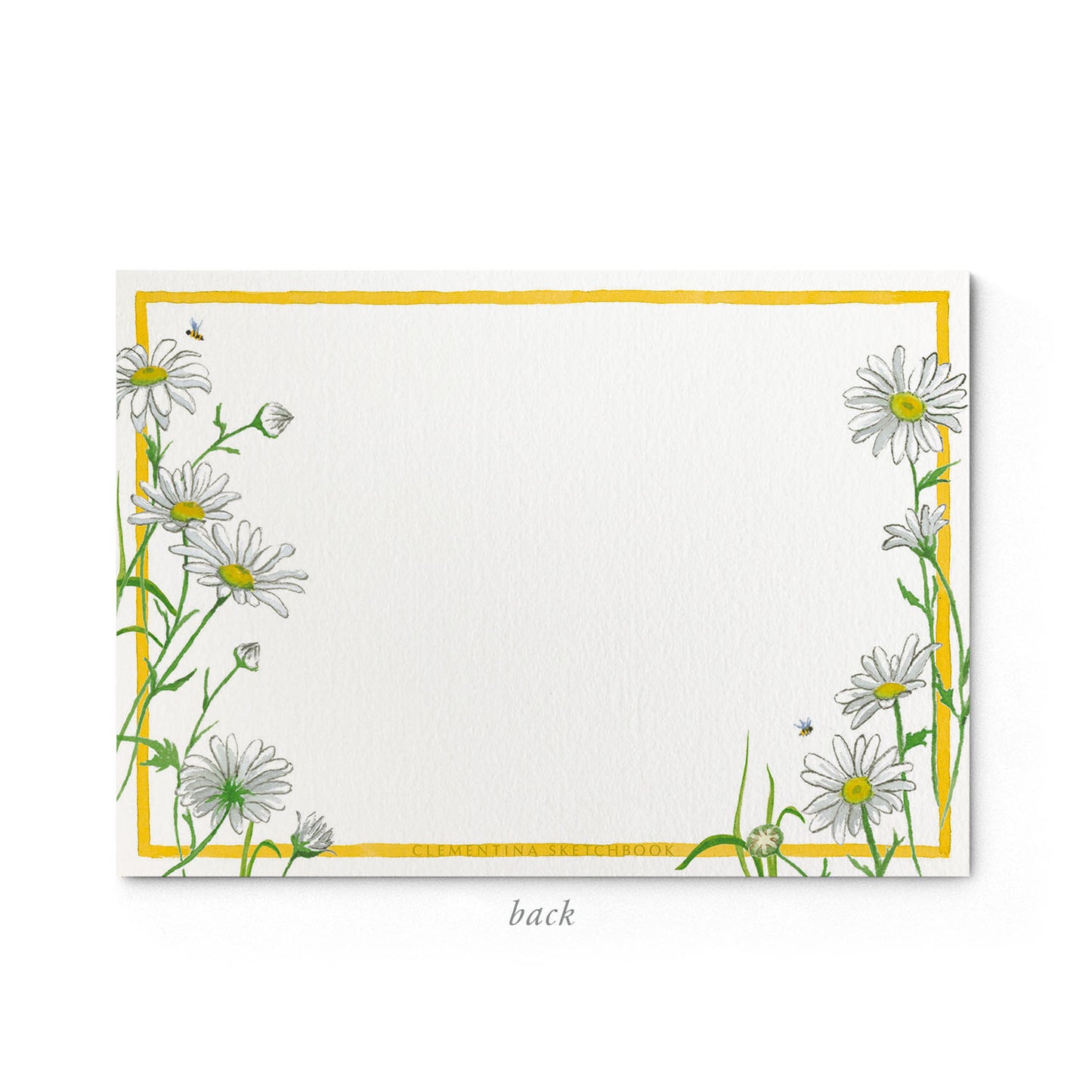 Image shows the back of a Clementina Sketchbook daisy stationery card, with a delicate floral watercolour design and a yellow border.