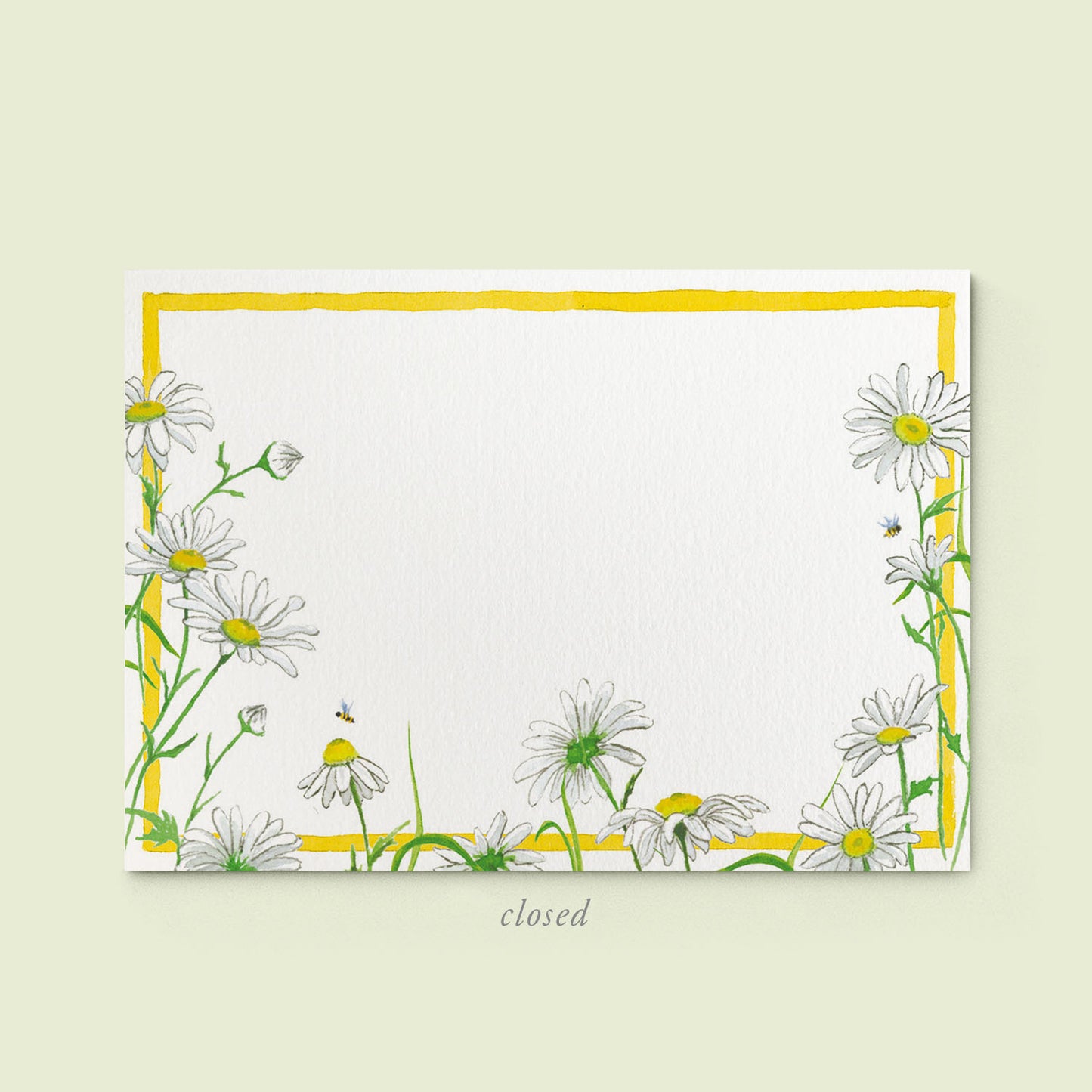 Daisies Mini Notecards