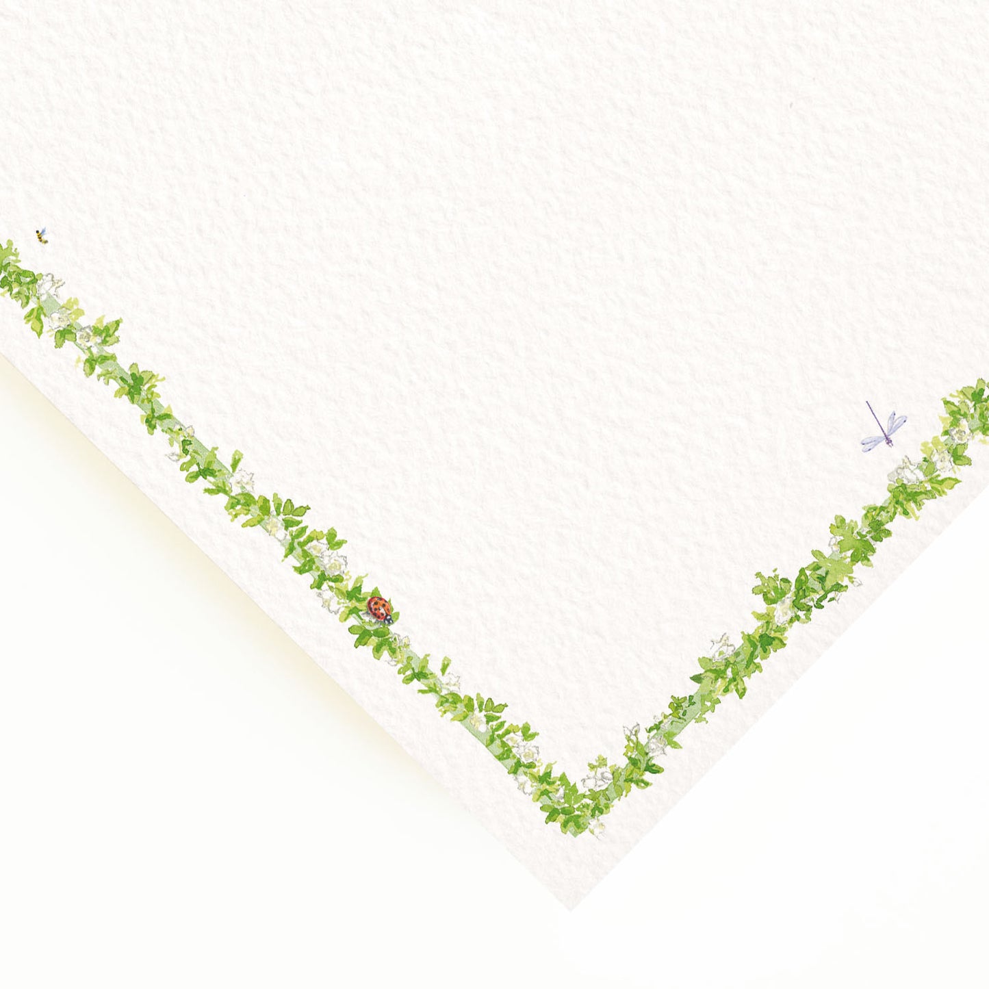 Close-up of the corner of our custom menu, showcasing the menu's flauna border and hand-painted watercolour designs.