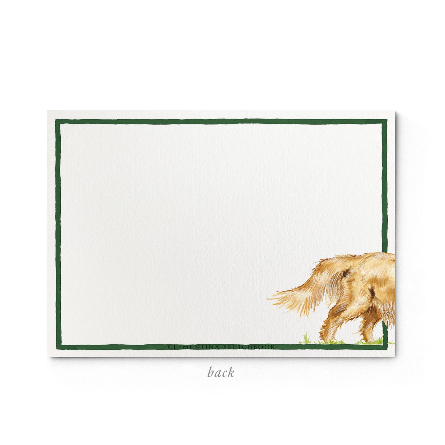 Image shows the back of a Clementina Sketchbook dog stationery card, with a golden retriever watercolour design and a green border.
