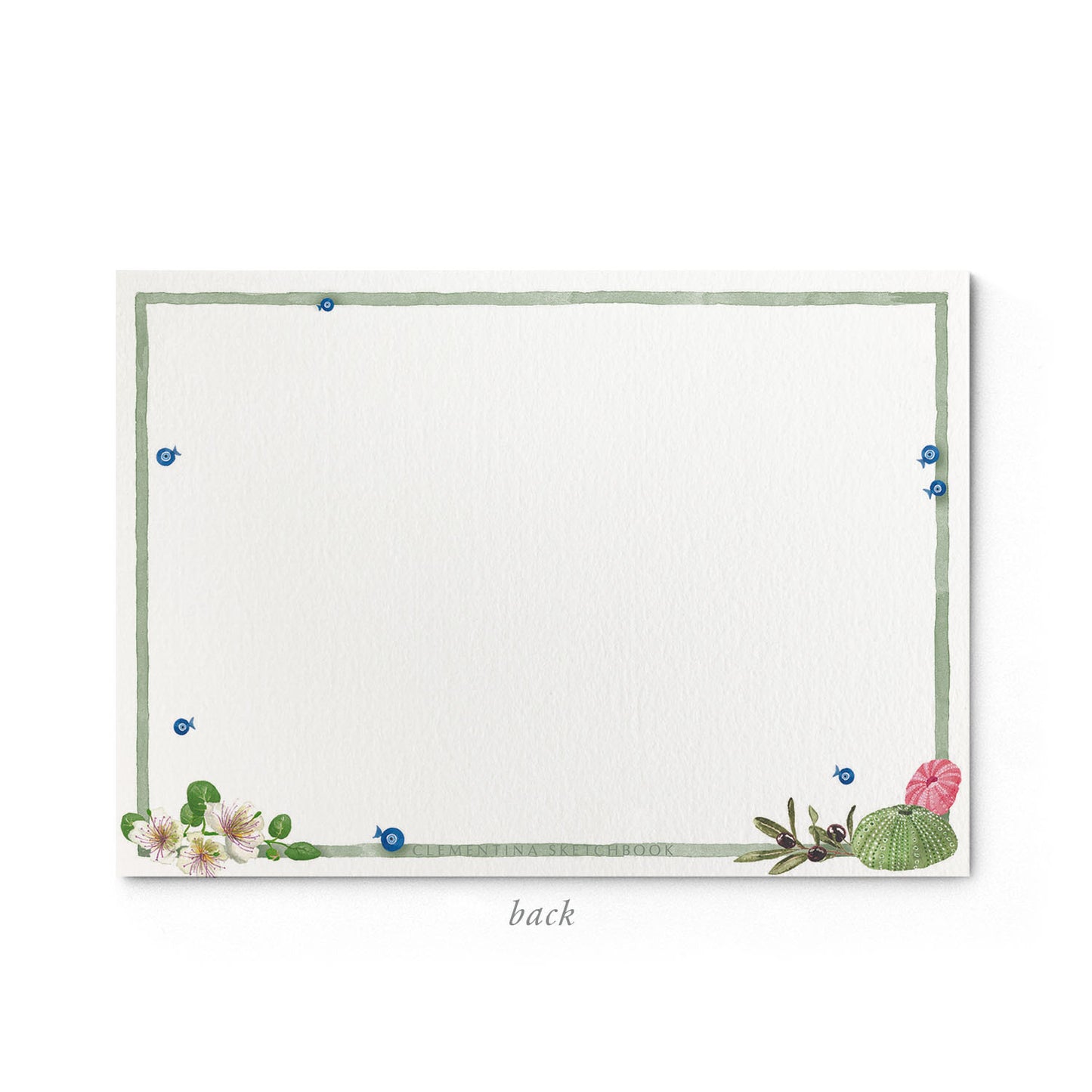 Back of a Greek Island Hopping stationery card with blank writing area bordered by tiny blue fish, flowers, olives, and seashells, featuring the Clementina Sketchbook design along the edge