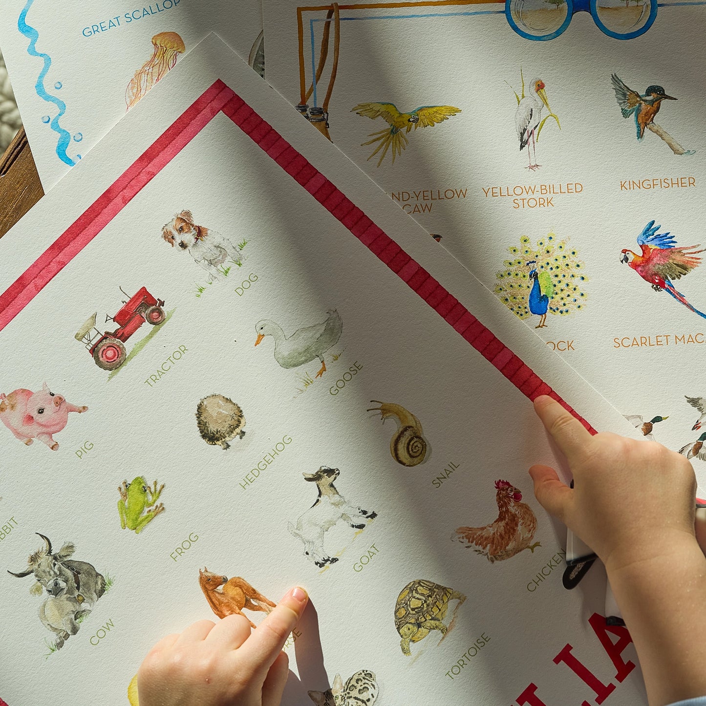 Farm Animals Print