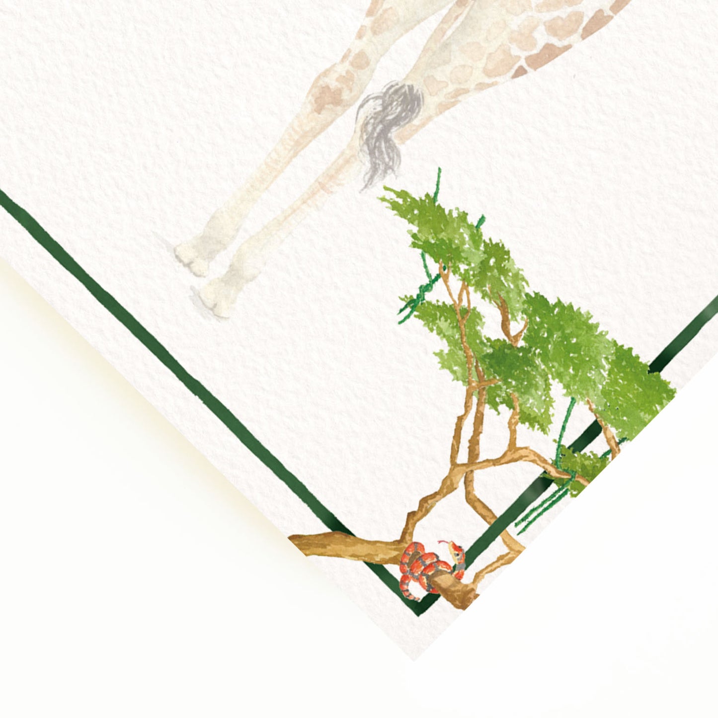 Close-up of the corner of our safari menu, showcasing the menu's green border and custom designs of safari trees.