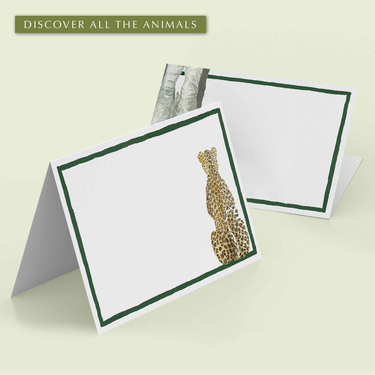 Safari Bums Place Cards - 01 - Cover