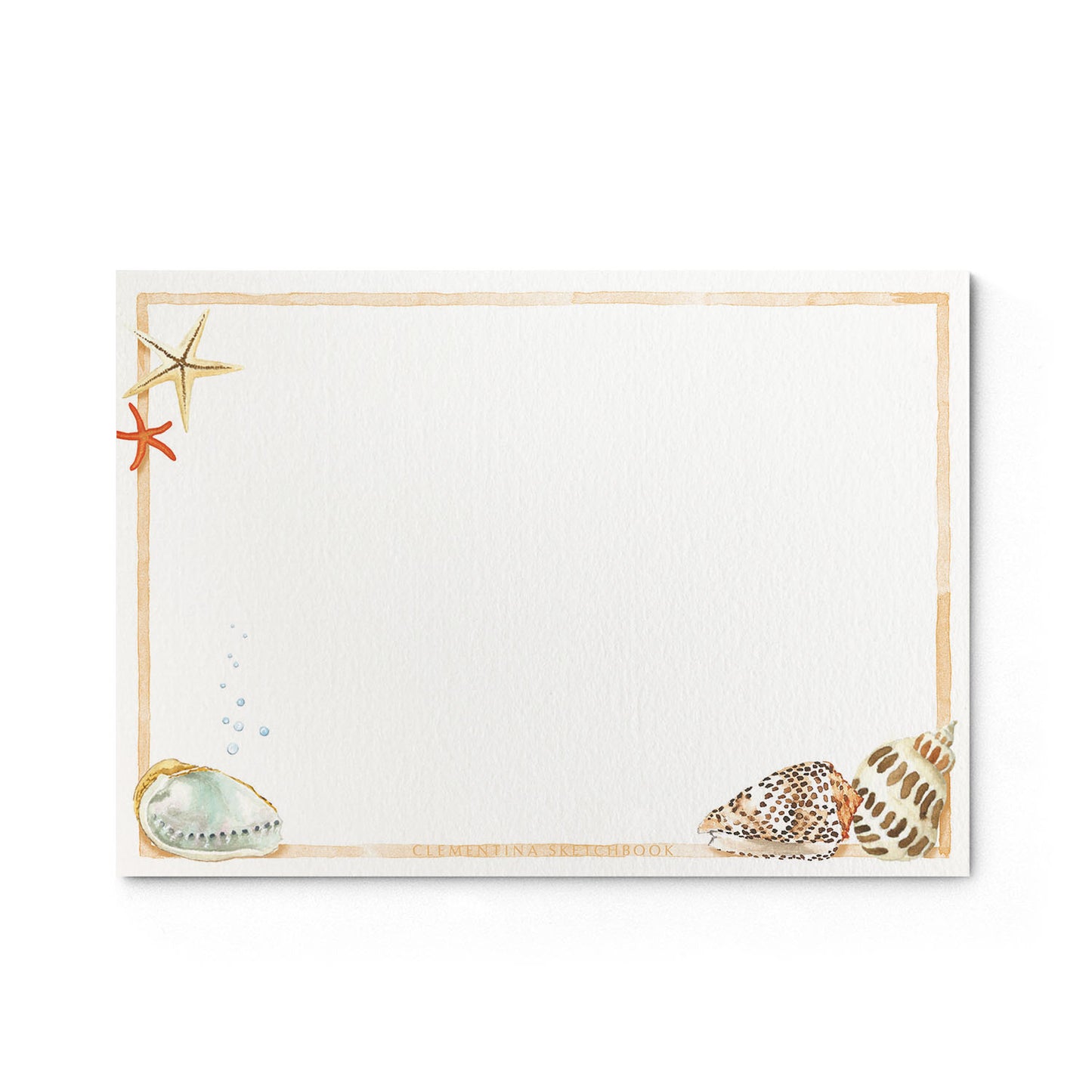 Image shows the back of a Clementina Sketchbook ocean-themed stationery card, with a sea shell watercolour design and a light orange border.