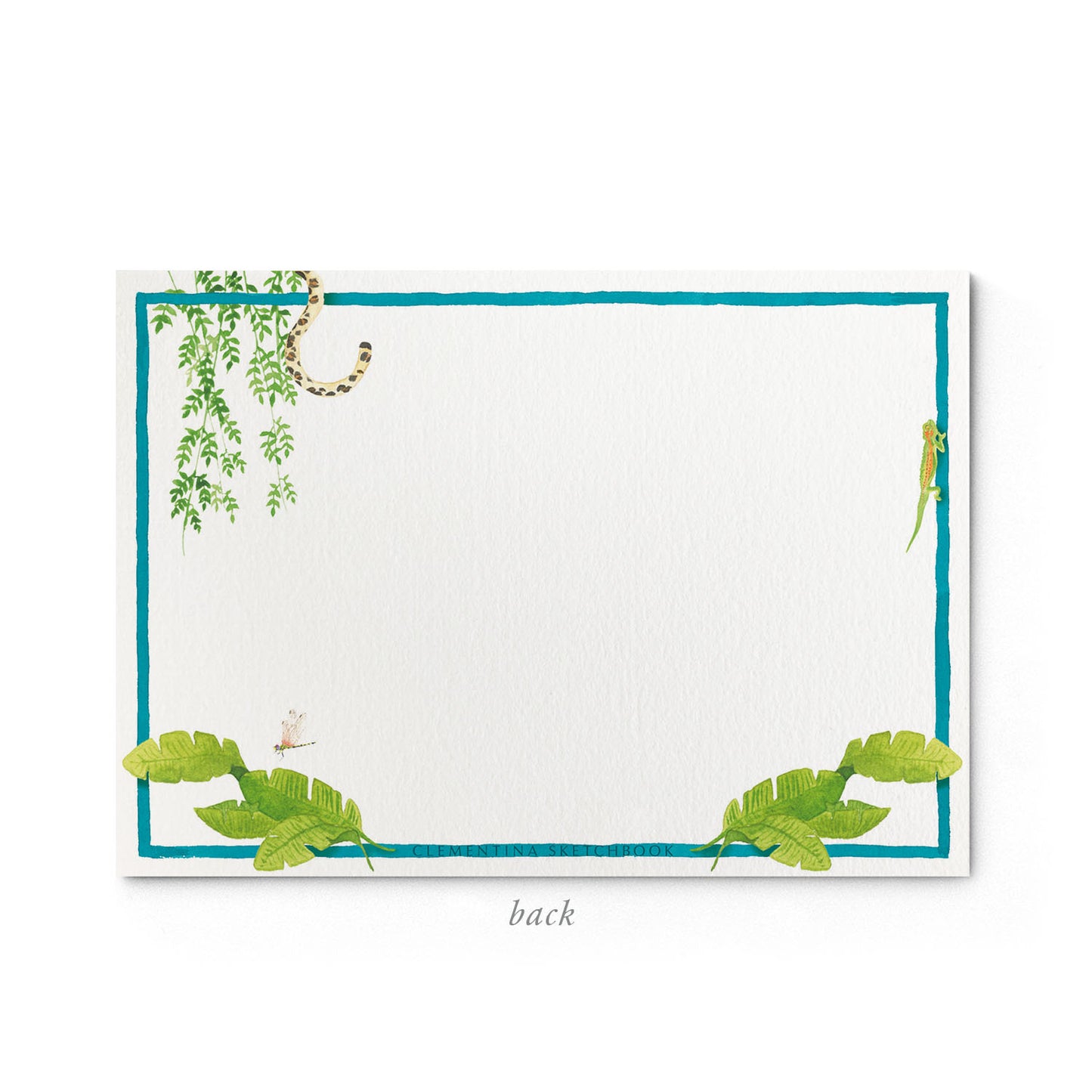 Image shows the back of a Clementina Sketchbook tropical stationery card, with a cactus watercolour design and a blue border.