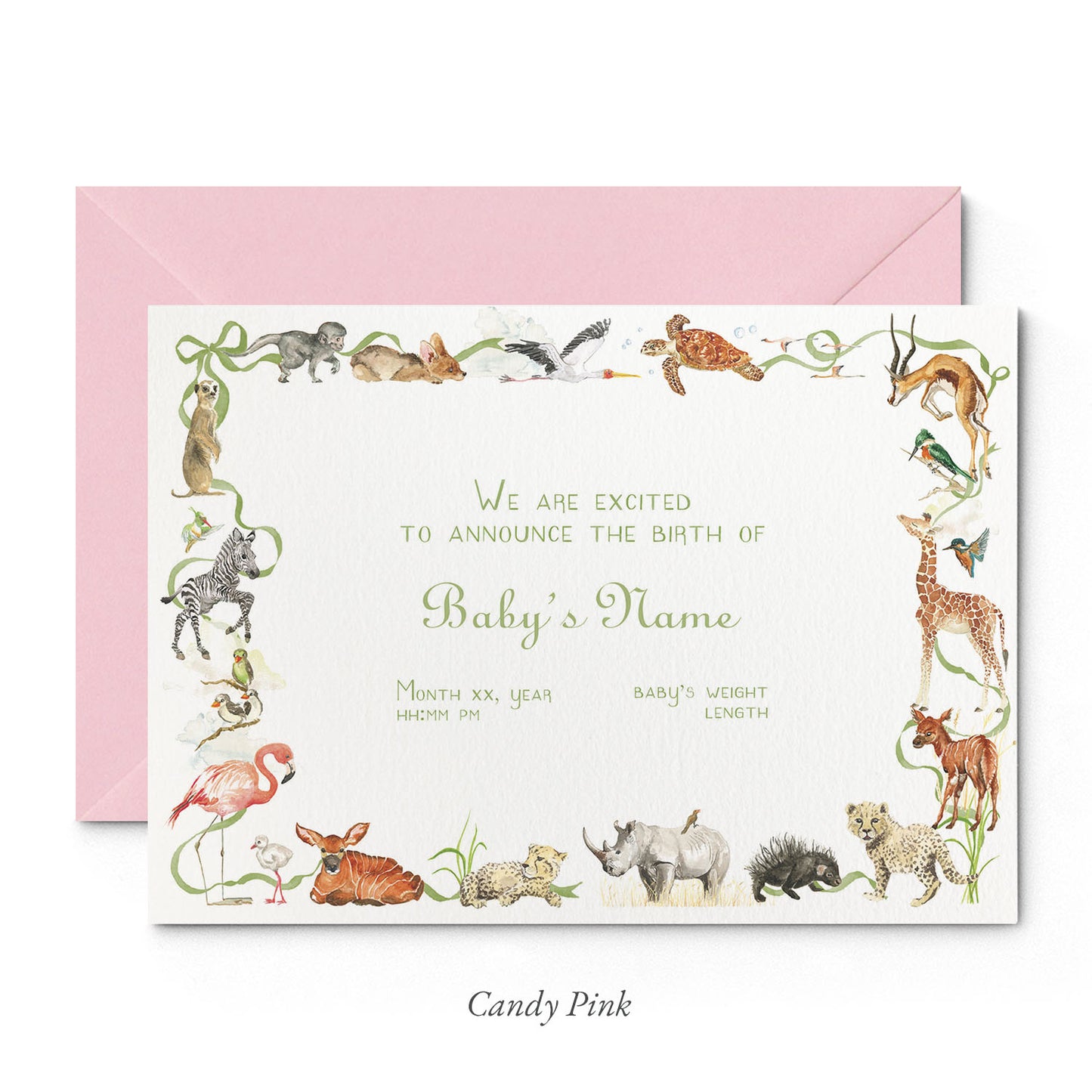 Image of Clementina Sketchbook's little African world printed birth announcement with a safari animal border, personalised text and a pale pink envelope. 