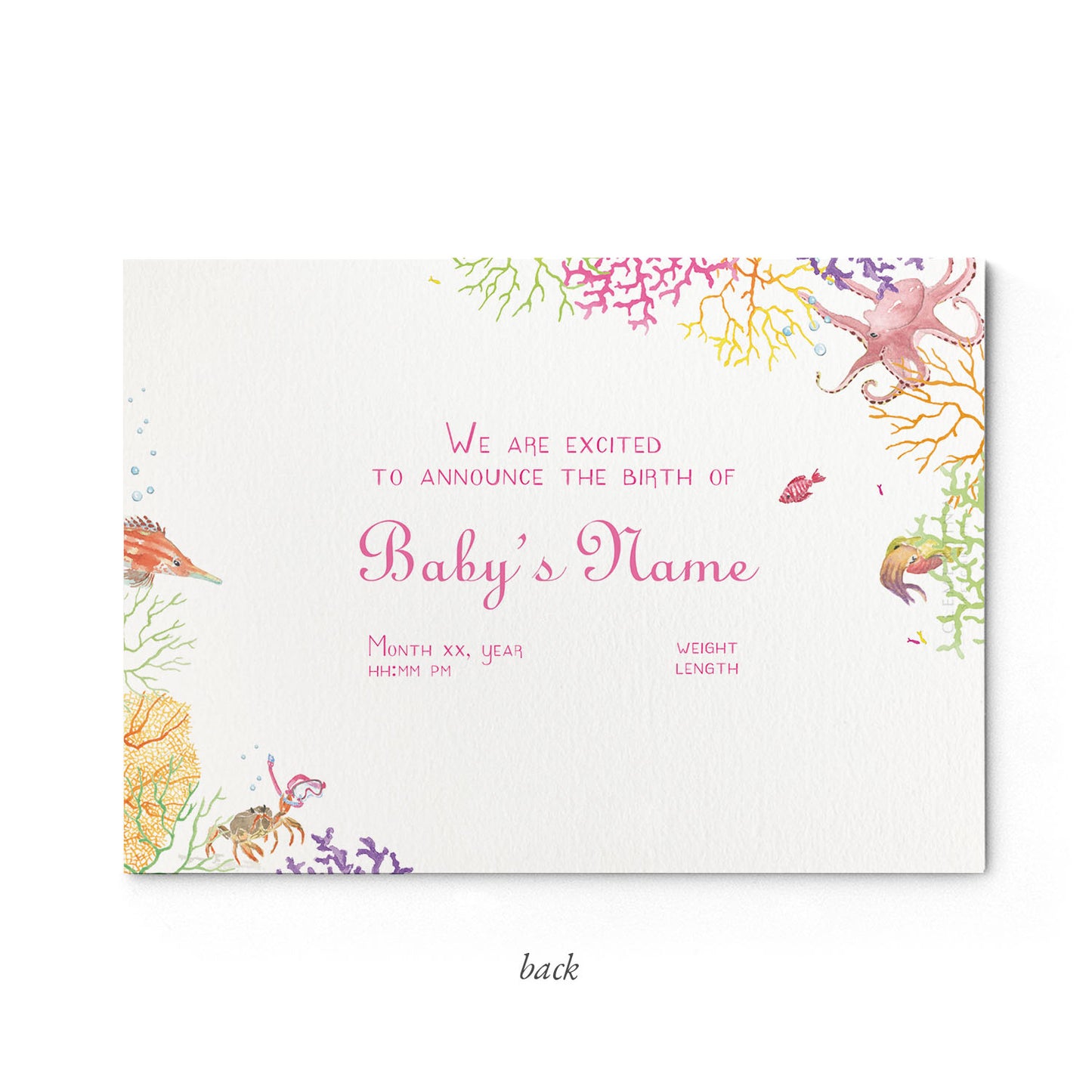 Image of the back of Clementina Sketchbook's coral reef printed birth announcement with a reef border and space for personalised text.