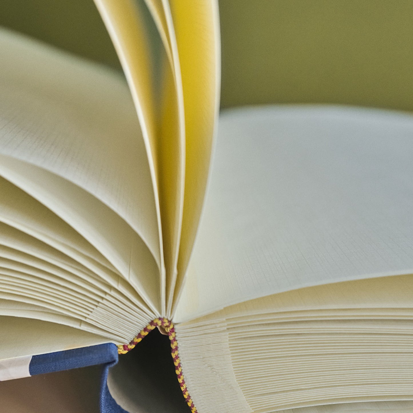 Close-up of the inside of the photo album's spine as someone flicks through the pages. 