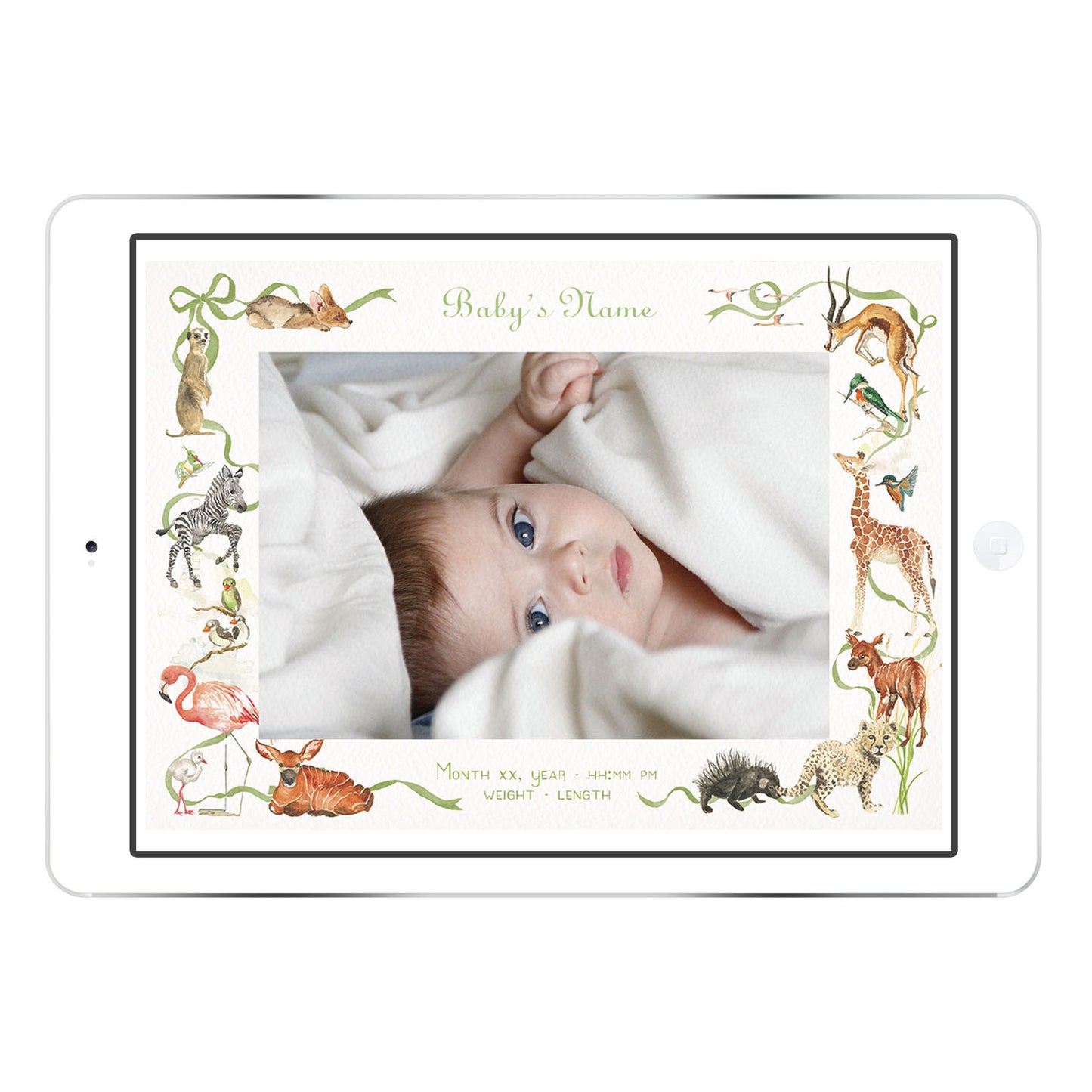 Little African World digital birth announcement from Clementina Sketchbook with baby photo on an iPad screen, featuring hand-painted watercolour safari animals and green ribbon border with personalised birth details.