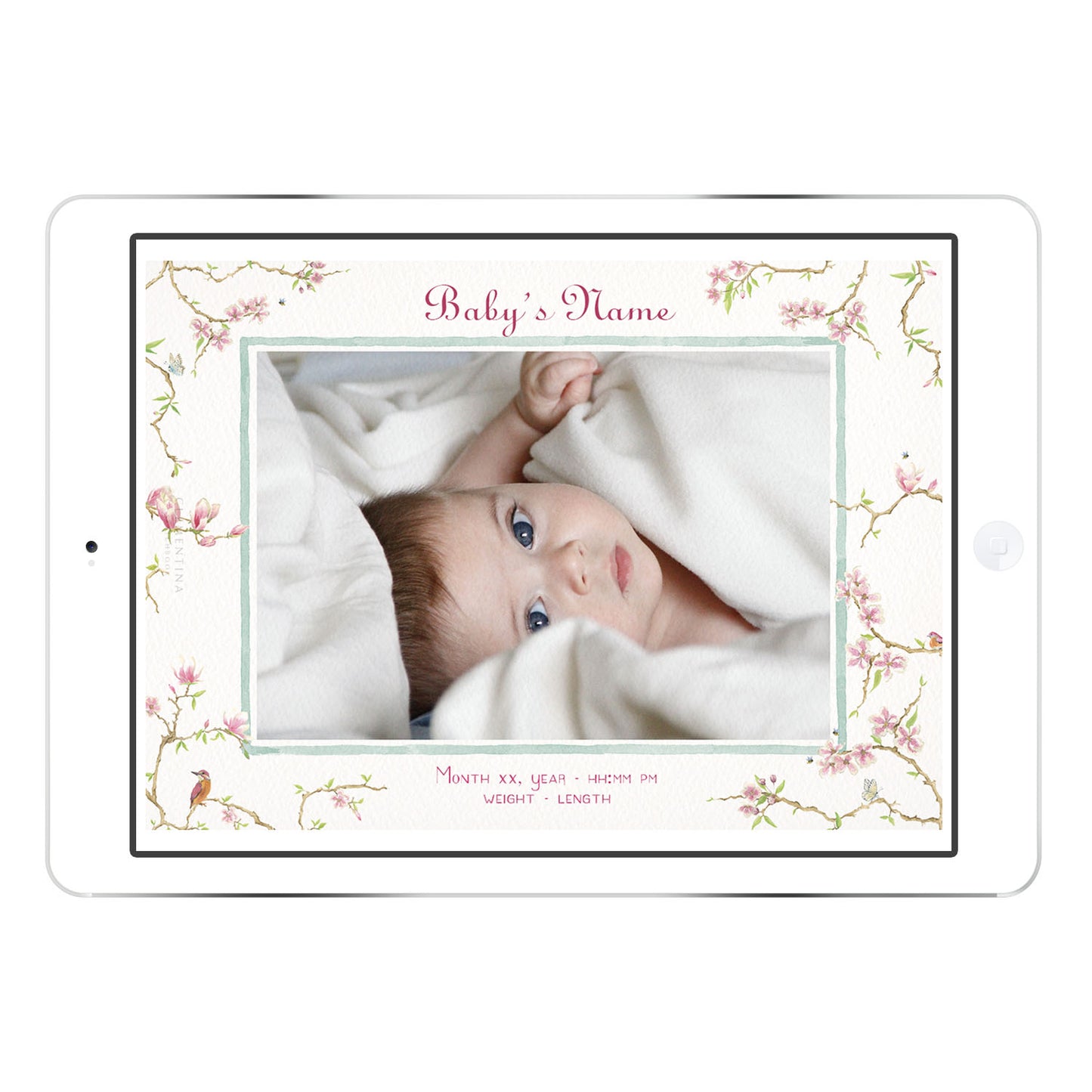 Magnolia digital Birth Announcement from Clementina Sketchbook with baby photo on an iPad screen, featuring hand-painted watercolour magnolia branches framing the picture and details below.