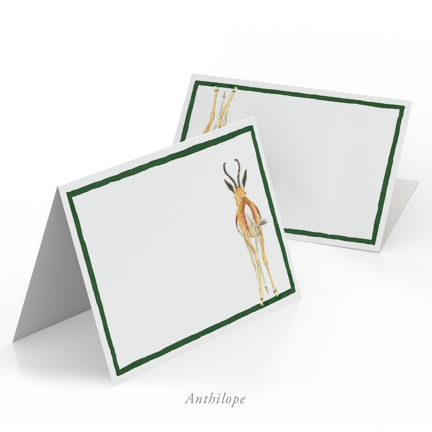 Safari Bums Place Cards