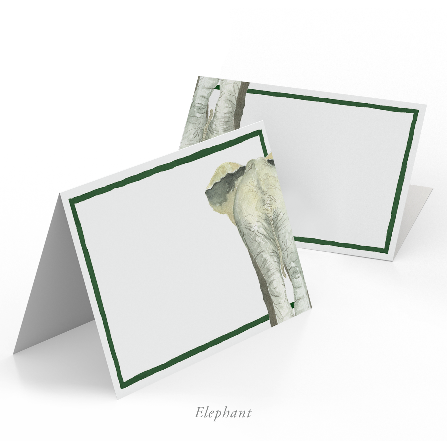 Safari Bums Place Cards