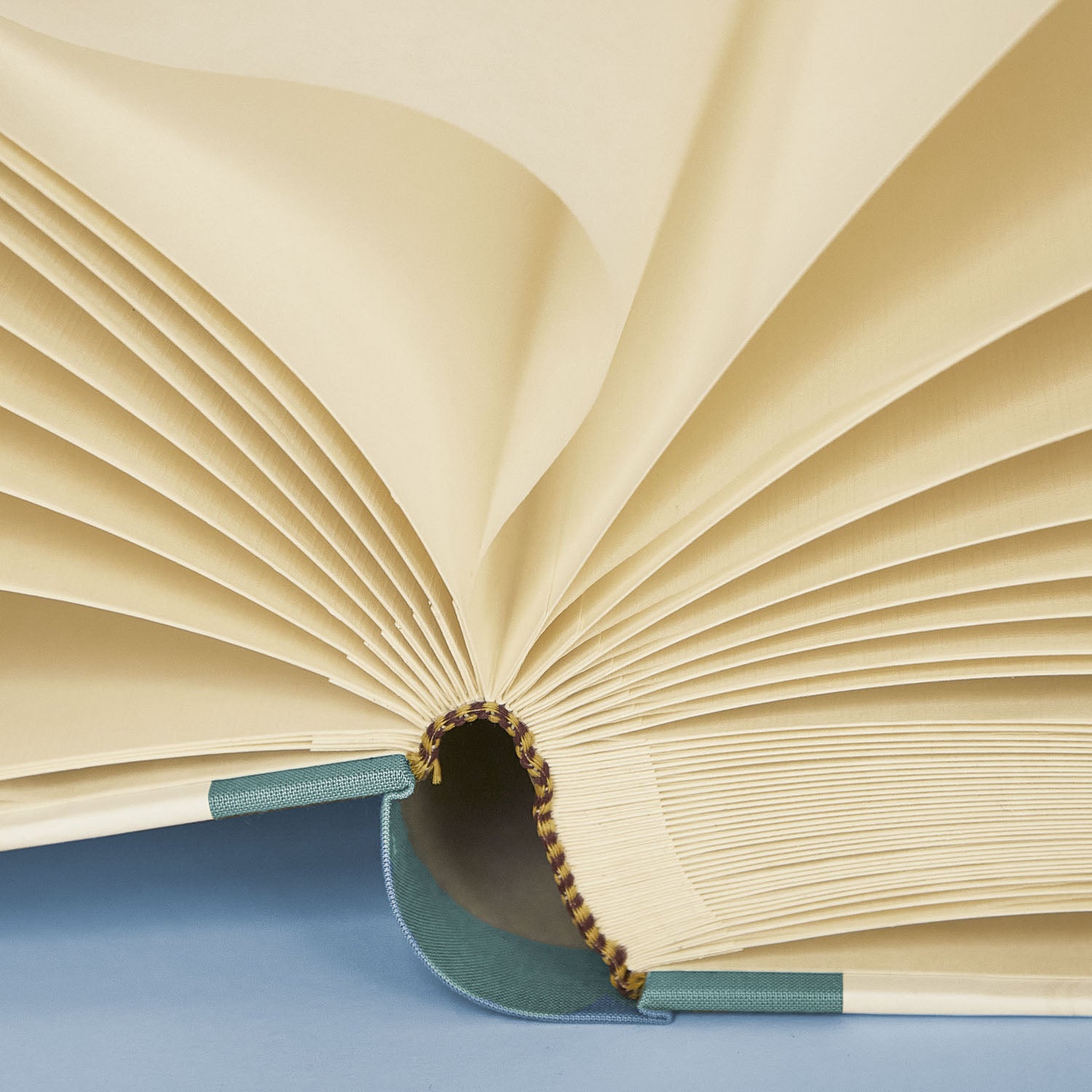 Close up of open Shells on Shells holiday photo album showing luxe Italian paper and tissue-lined pages.