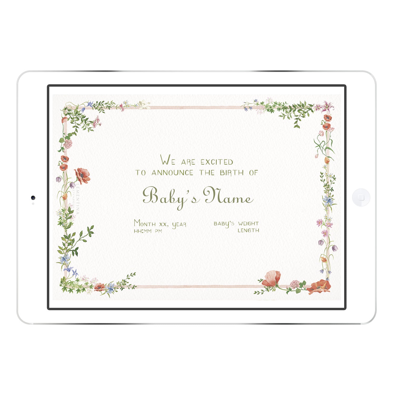 Blank Wild Blooms online birth announcement template from Clementina Sketchbook with botanical watercolour wildflowers, ready for personalised name and birth stats.