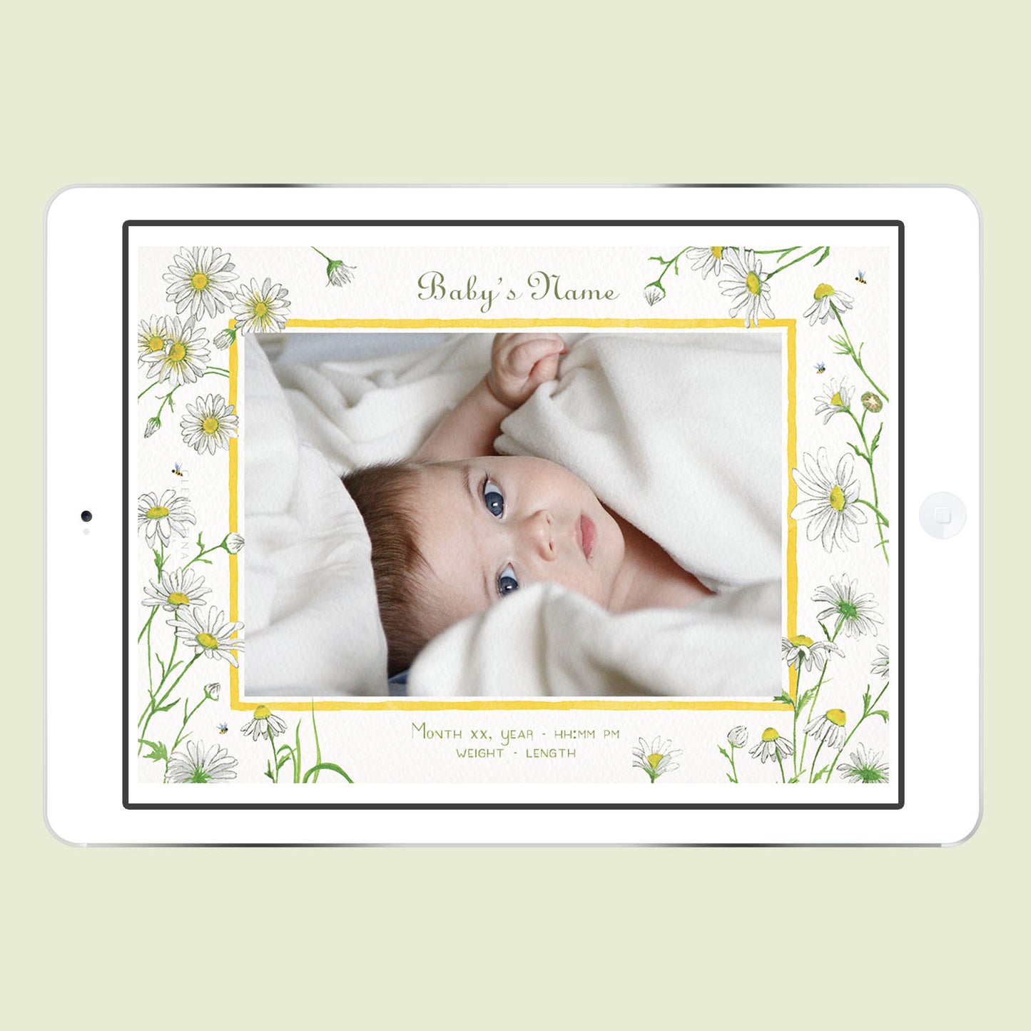 Daisies Digital Birth Announcement