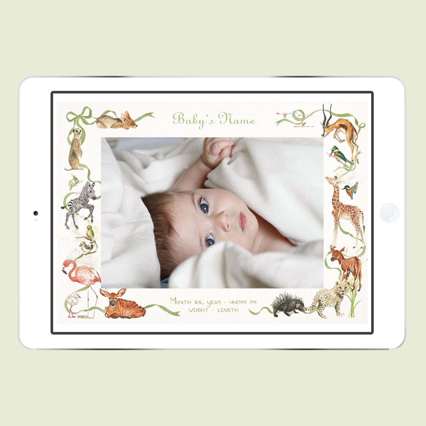 Little African World Digital Birth Announcement