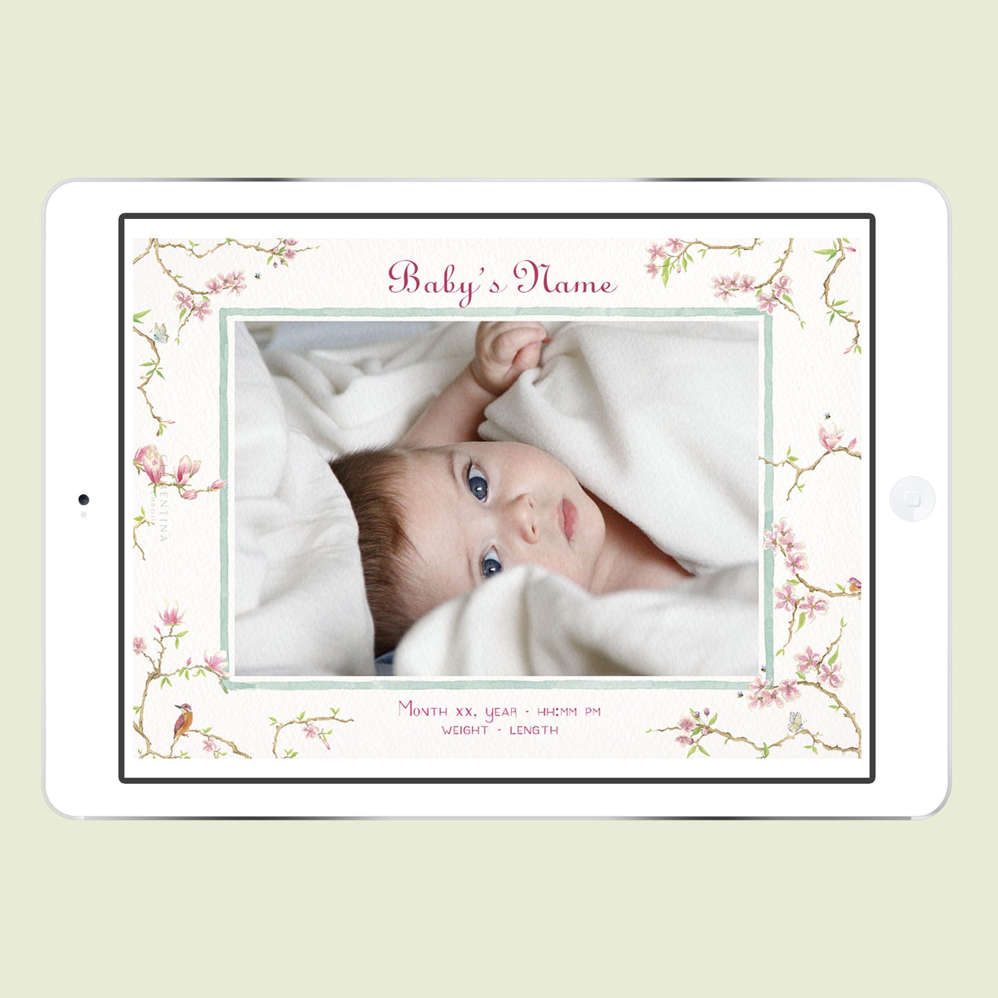 Magnolia Digital Birth Announcement